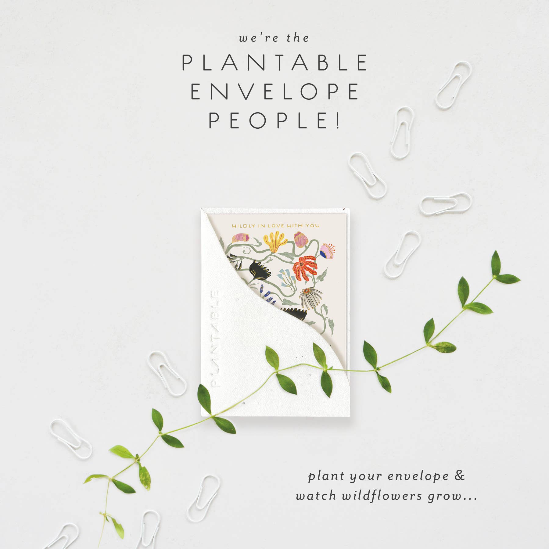 Seedlings - Wholesale Friendship Card - Wildly In Love Sprout - Love + Friendship Mini Greeting Card1