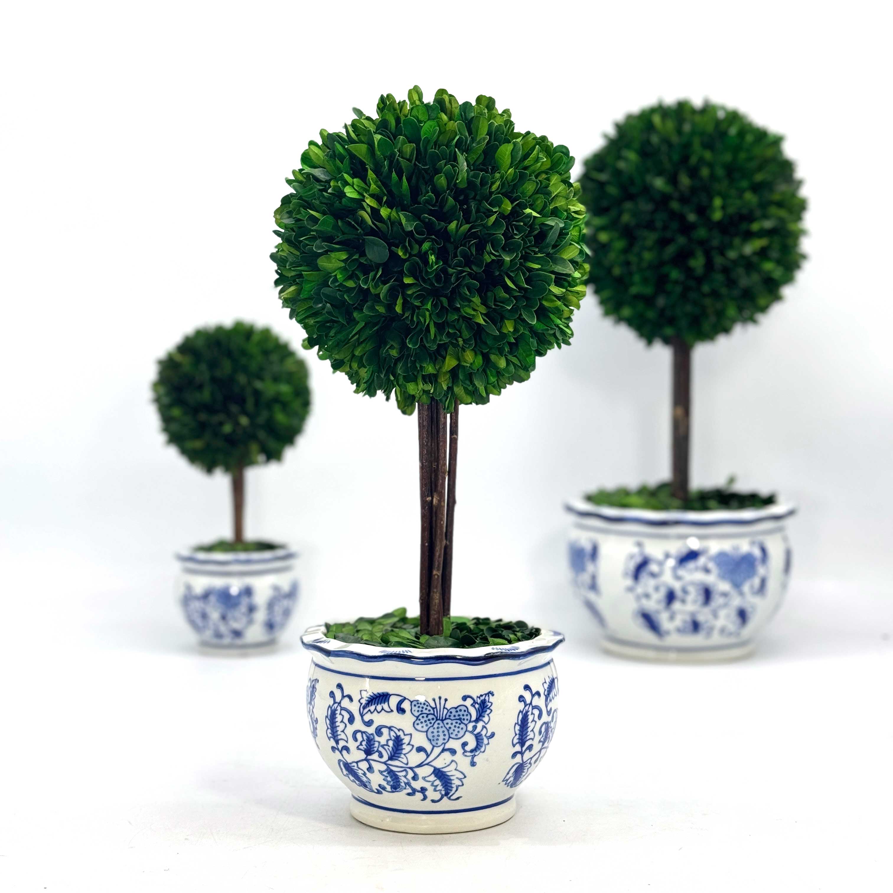 Galt International Company - Vente Plantes artificielles - Arbre topiaire en boule de buis dans un pot rond en céramique bleu et blanc5