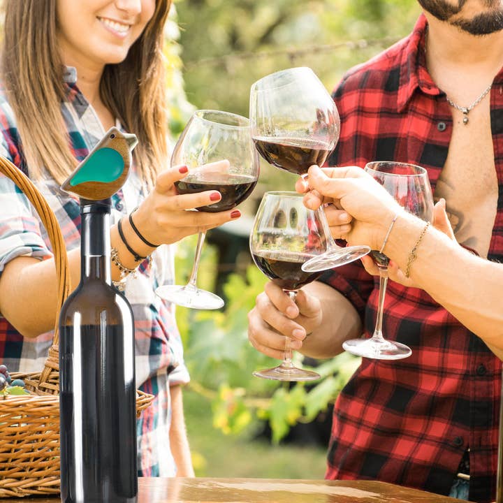 Totally Bamboo - Vendita all'ingrosso Tappi per vino - Songbird Specialties® "Canta" Versatore per Bottiglie di Vino Turchese4