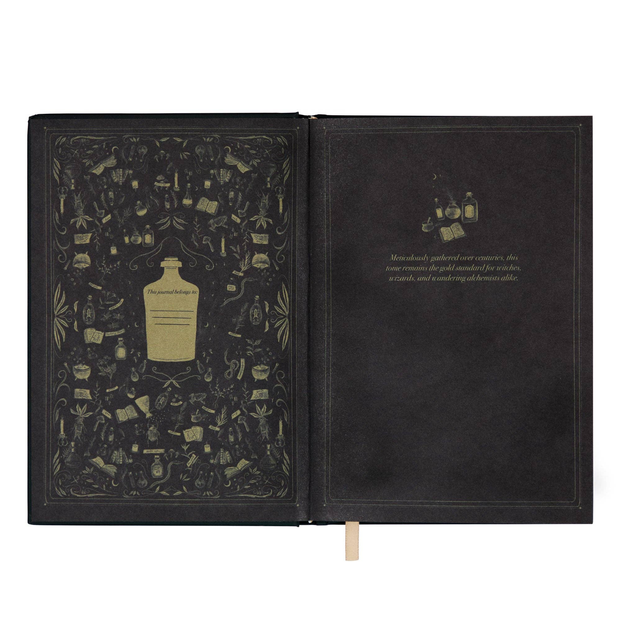 Well Read Company - Wholesale Notebook - The Encyclopedia of Potion Making Gold Foiled A5 Hardback Notebook6