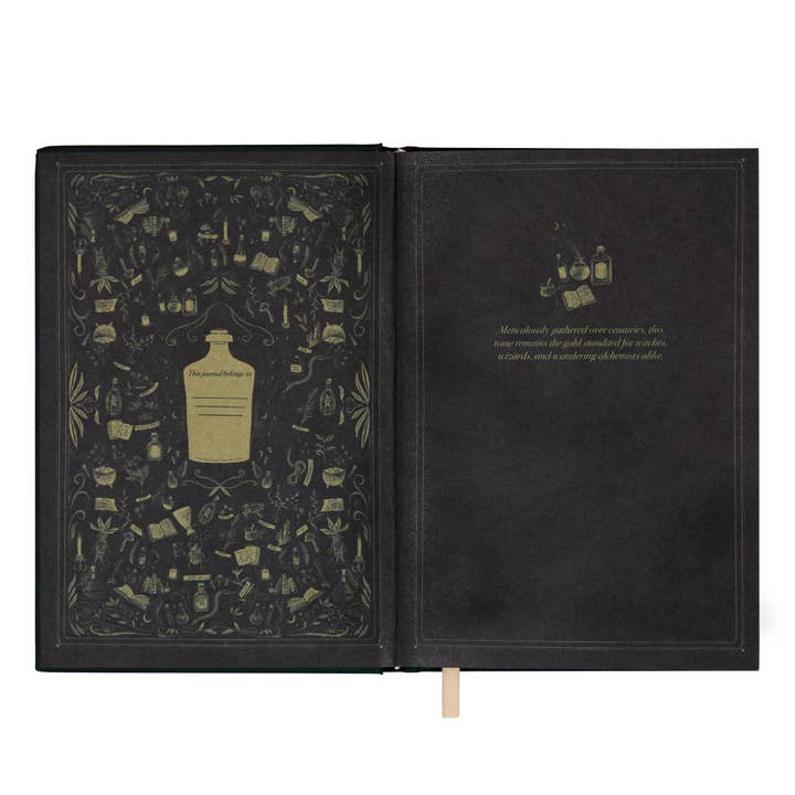 Well Read Company - Wholesale Notebook - The Encyclopedia of Potion Making Gold Foiled A5 Hardback Notebook6