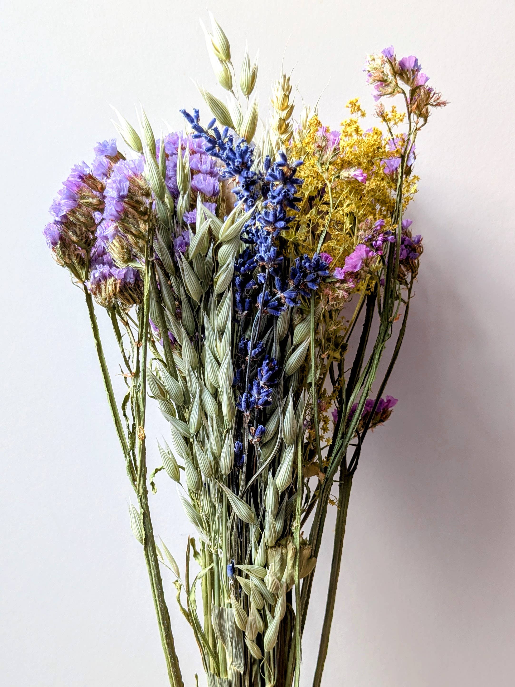 Daisy Gifts Ltd – wholesale Dried/pressed flowers – Small UK Dried Flower Bouquet Mixed Lilac Tied With Twine2
