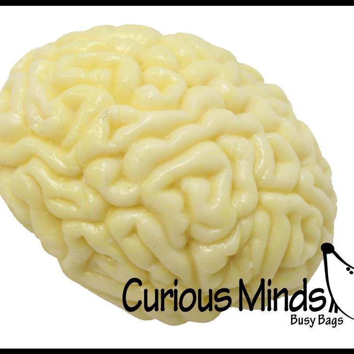 Curious Minds Toys - Wholesale Squishy Toy - Kids & Baby - 1 Brain Squishy Sticky Stress Ball - Body Parts - Anatomy1