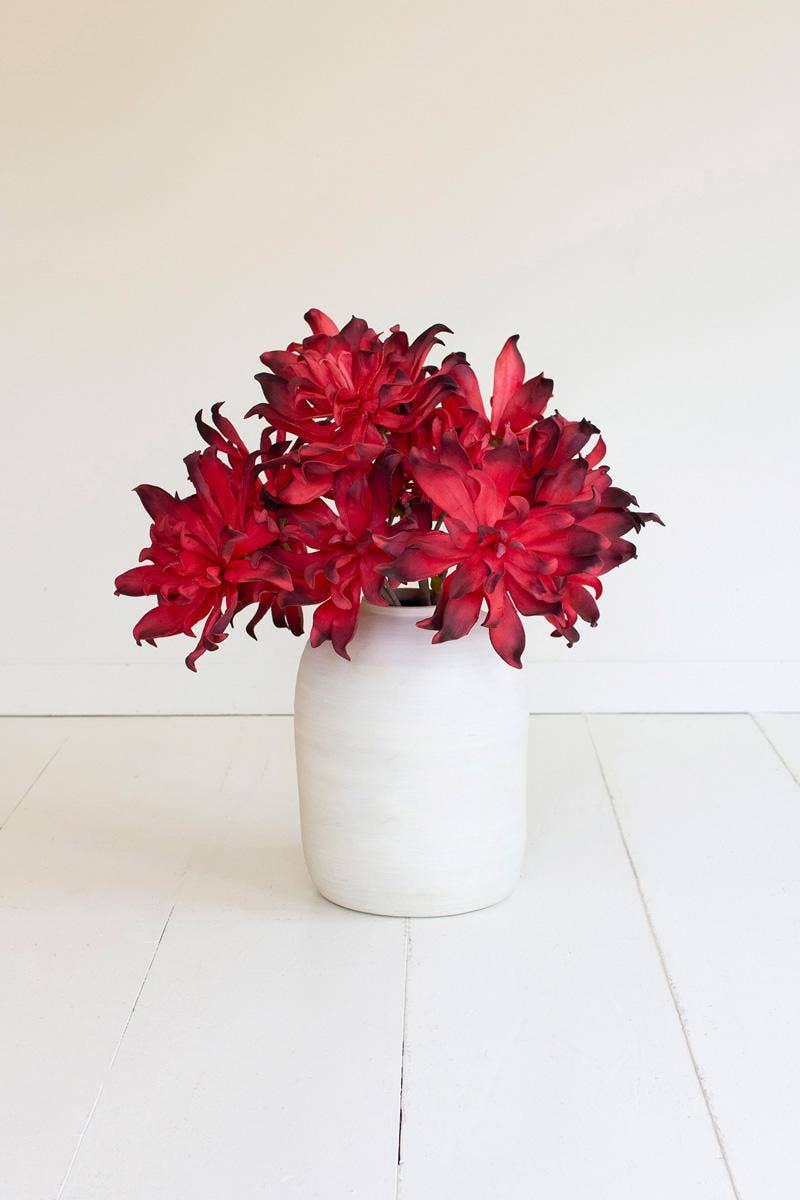 Multi BOTANICA #3557  for wholesale on Faire0