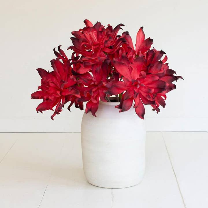 Multi BOTANICA #3557 for wholesale on Faire0