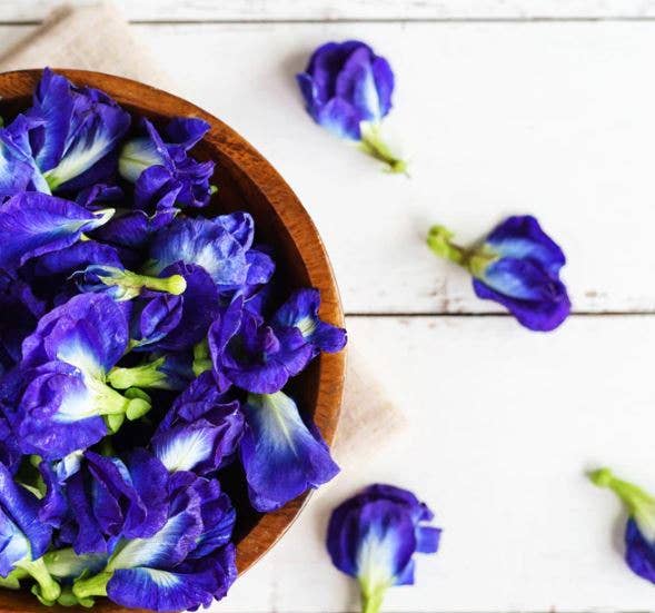 ERTH World Corp DBA Stone+Sage - Wholesale Losse thee - Blauwe vlindererwtbloem biologisch | Clitoria ternatea thee4