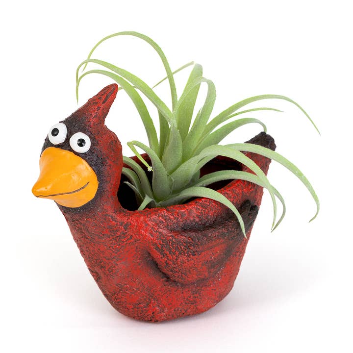 Fioriera a forma di blobhouse cardinale rosso - Blaze per la vendita all'ingrosso da parte di Cohasset Gifts