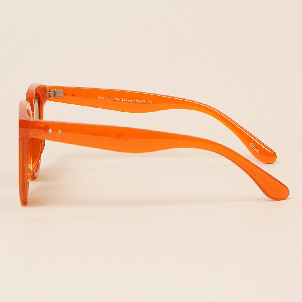  ASSORTED COLOR Women's Polarized Round Sunglasses for wholesale on Faire6