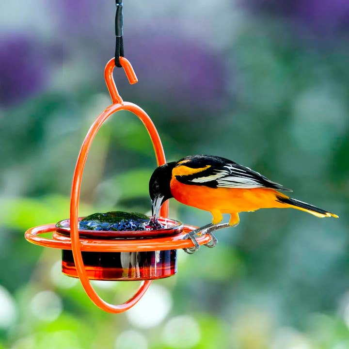 Mosaic Birds Hummble Bold Bird Feeder Orange for wholesale by Couronne Co.