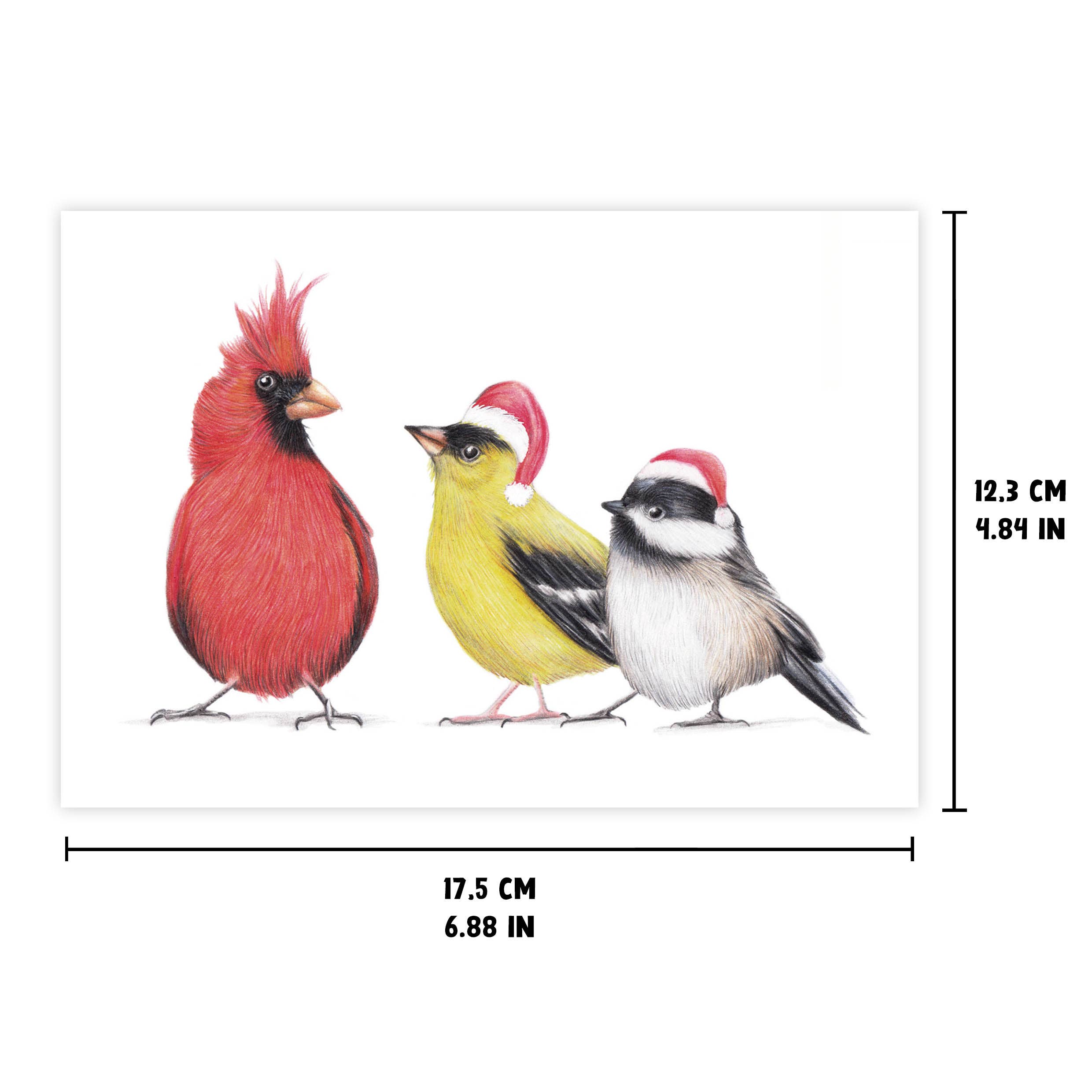 Beast of Paradise – Engroshandel Julekort – Bird Julekort, Dyr Lykønskningskort, Jeg elsker din hat2