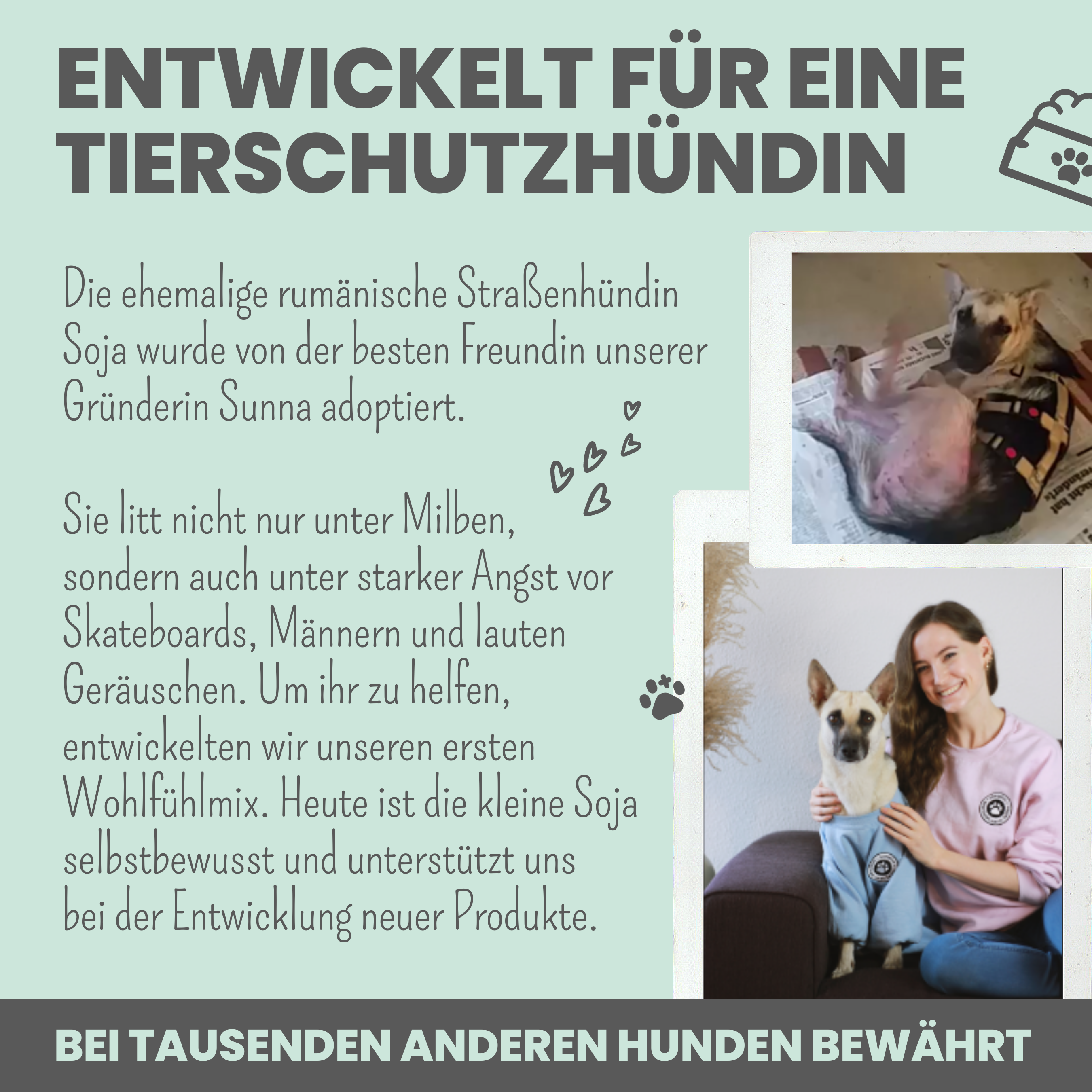 Noms+ – Großhandel Nahrungsergänzungsmittel für Haustiere – Katze/Hund – Wohlfühltabs für Hunde bei Stress, Angst & Unruhe7