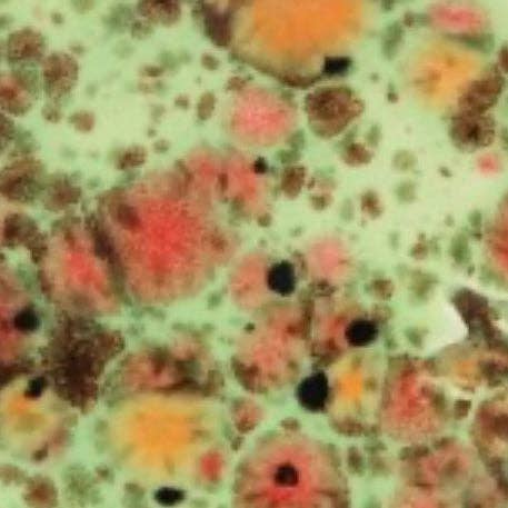 Ananas-Vase für den Großhandel von Papillon Wholesale