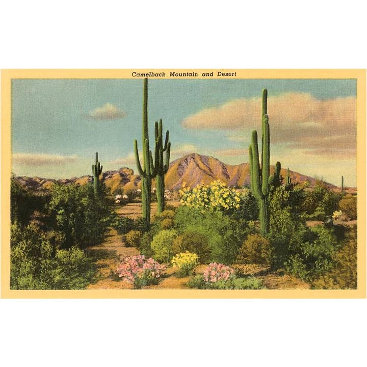 Impression d'art AZ-107 Camelback Mountain, Saguaros pour la vente par Found Image Press