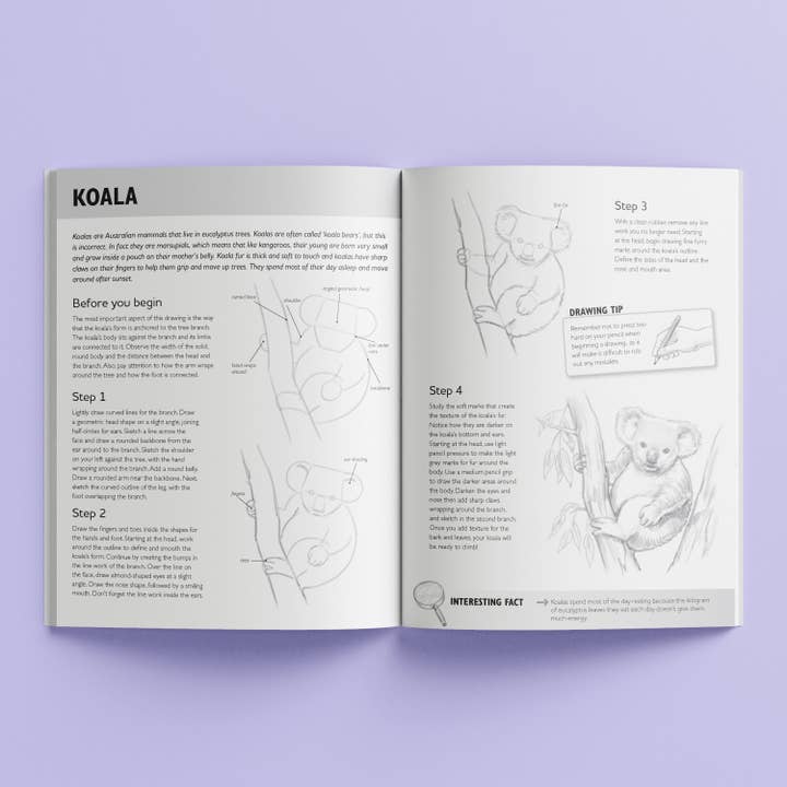 Hinkler Australia - Wholesale Painting/drawing - Kaleidoscope Amazing Things to Draw Carry Case11