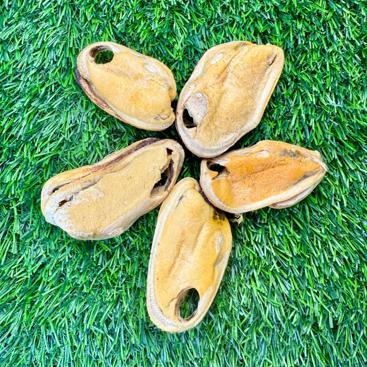 Golden Nibbles - Wholesale Pet Treats - Dog - New Zealand Green-Lipped Mussel - Freeze-Dried 3