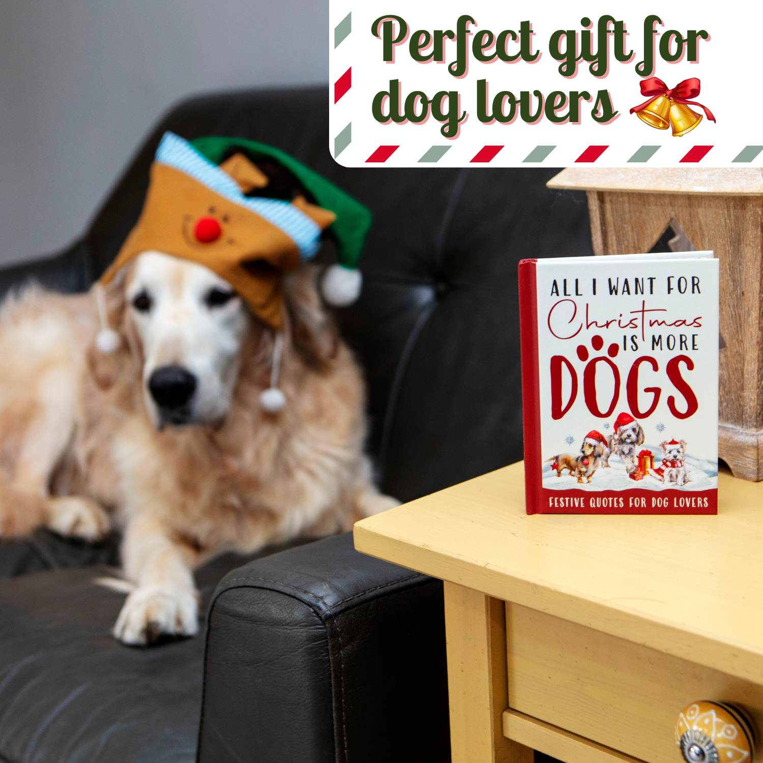 Boxer Gifts - Vente Animaux - Tout ce que je veux pour Noël, c'est plus de livres cadeaux sur les chiens - Cadeaux pour chiens4