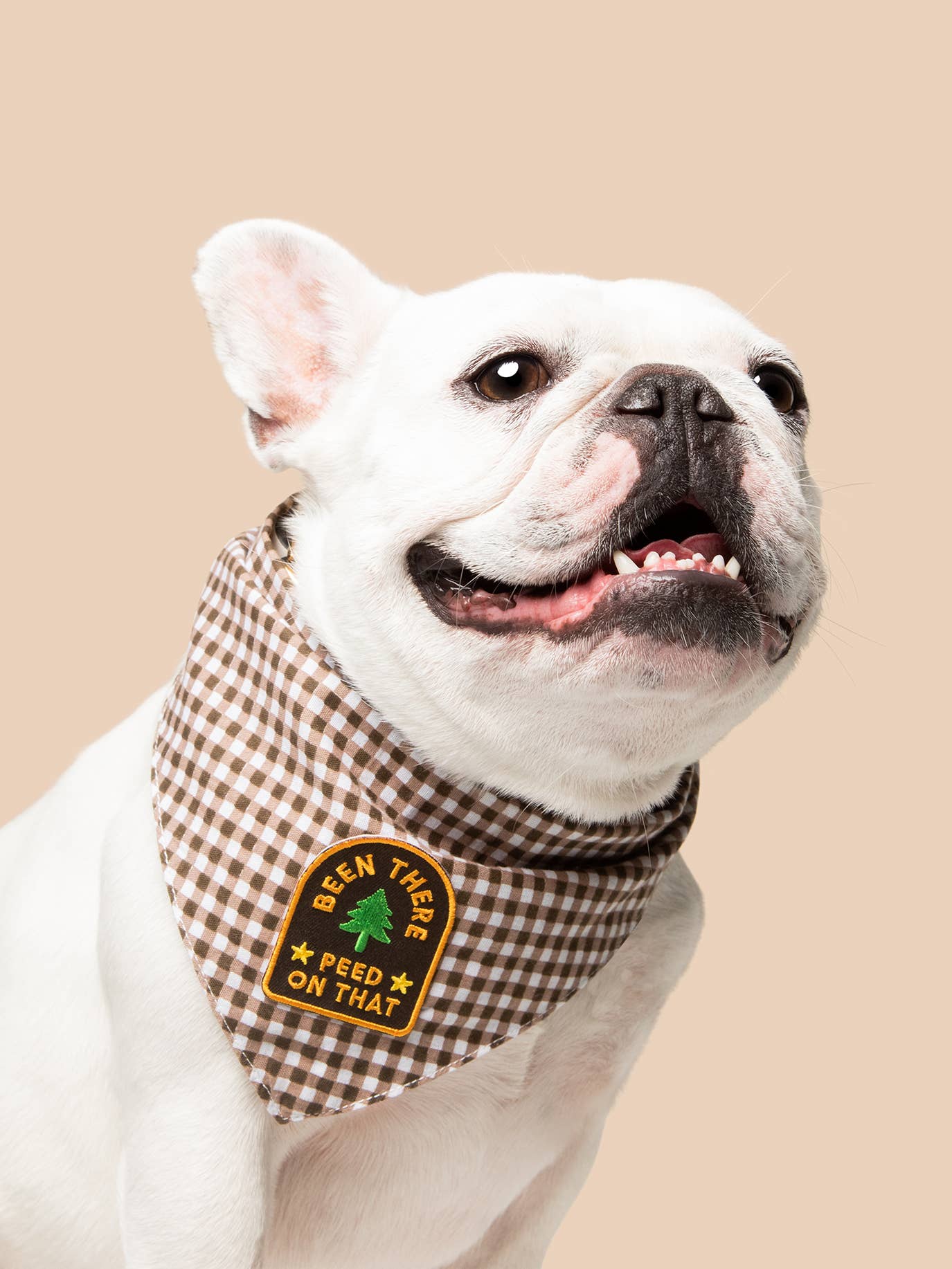 Scout's Honour Pty Ltd - Wholesale Pet bandana – Dog - Been There Peed on That iron-on patch for dogs and cats