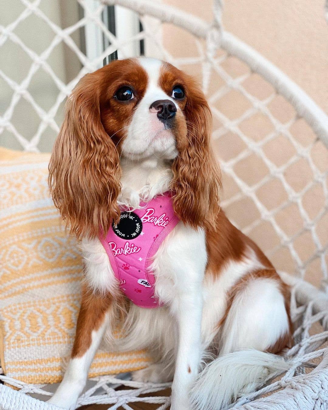 WOOF INC - Wholesale Pet Harness - Dog - Pink Barkie Dog Harness XS - L3