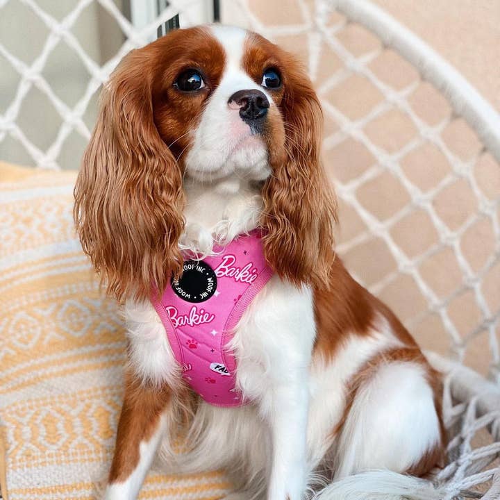 WOOF INC - Wholesale Pet Harness - Dog - Pink Barkie Dog Harness XS - L3