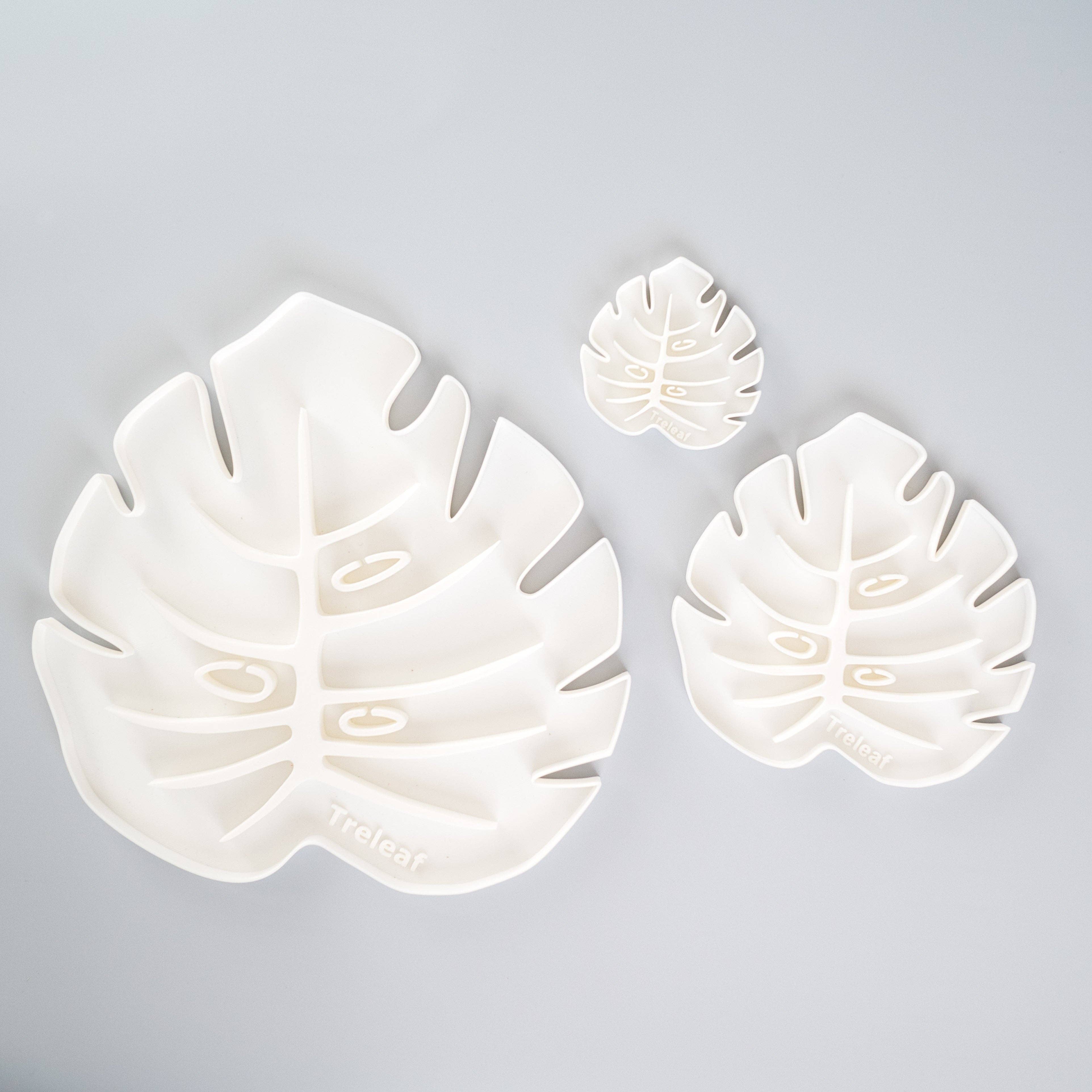 Treleaf - Wholesale Plant pot - Tera Sausr - Monstera Leaf-shaped Pot Saucer - Humidity Tray8
