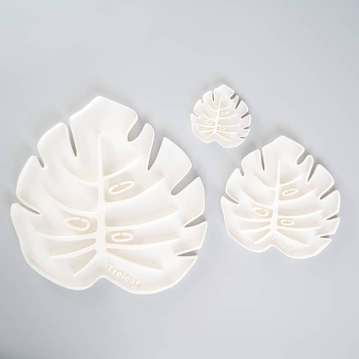 Treleaf - Wholesale Plant Pot - Tera Sausr - Monstera Leaf-shaped Pot Saucer - Humidity Tray8