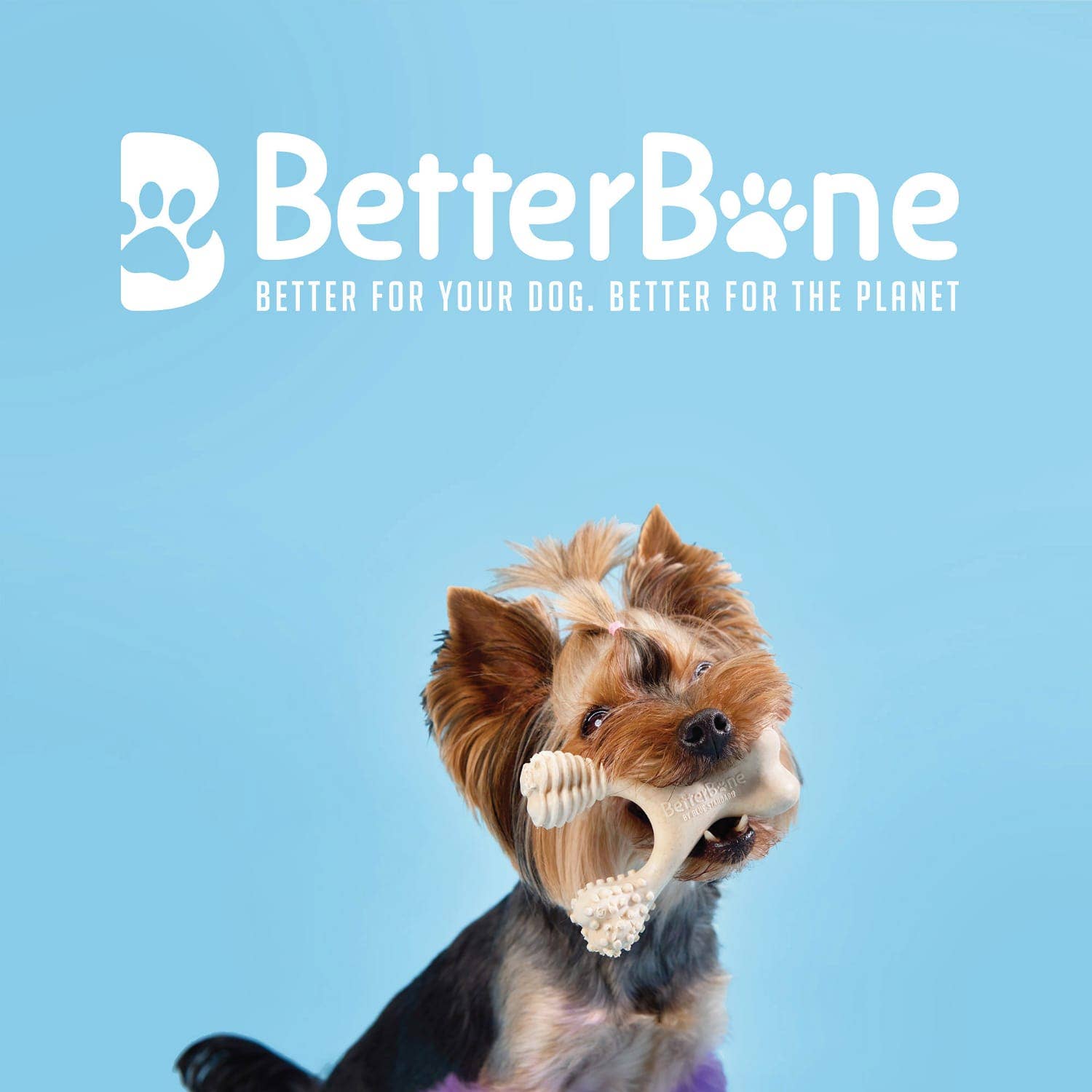 BetterBone - Venta al por mayor Juguete para morder - Perros - DACH - Soltero: BetterBone / Pequeño / Suave / Ternera (SSB)1