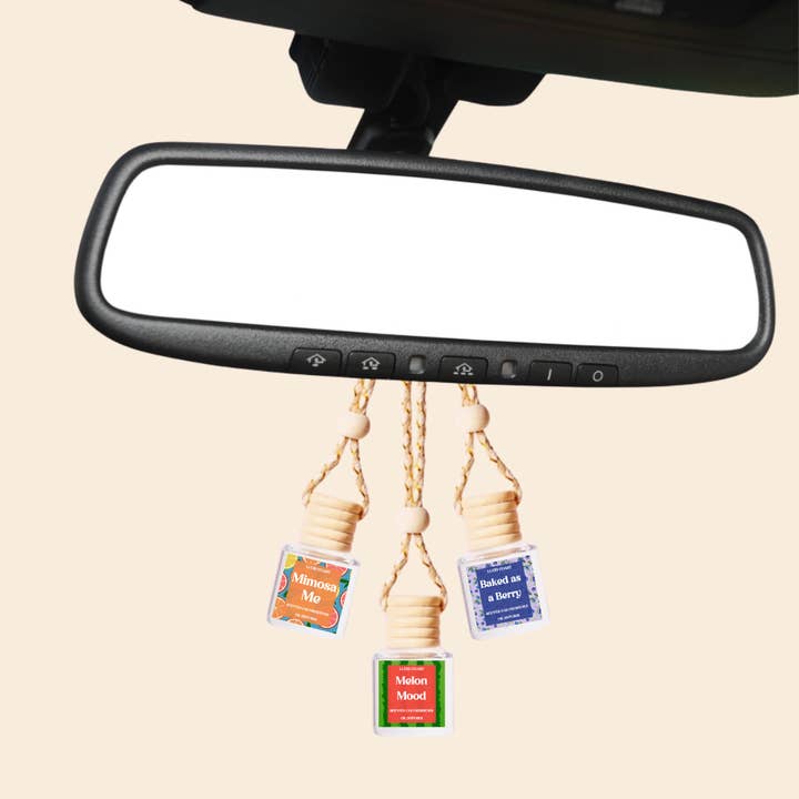 Lucid Coast - Wholesale Car Freshener - Unisex - Planet Gay Car Diffuser