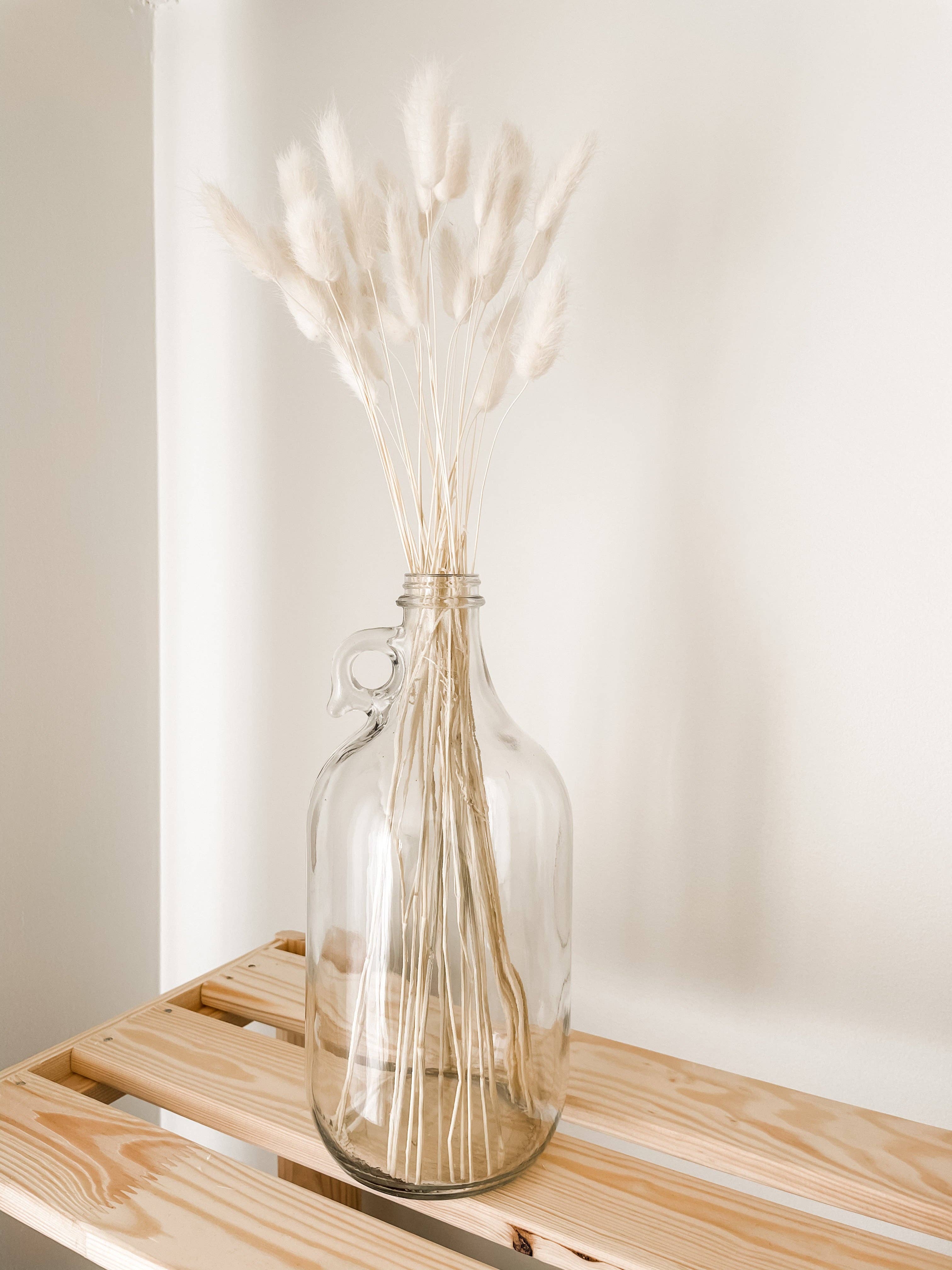 Eucalypt Co. - Venta al por mayor Flores secas/prensadas - Colas de conejo preservadas3