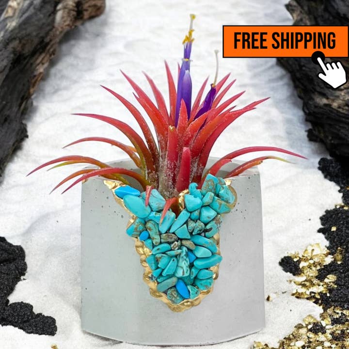Fioriera geode turchese (sintetico), supporto per piante ad aria per la vendita all'ingrosso da parte di Planters Made in the USA