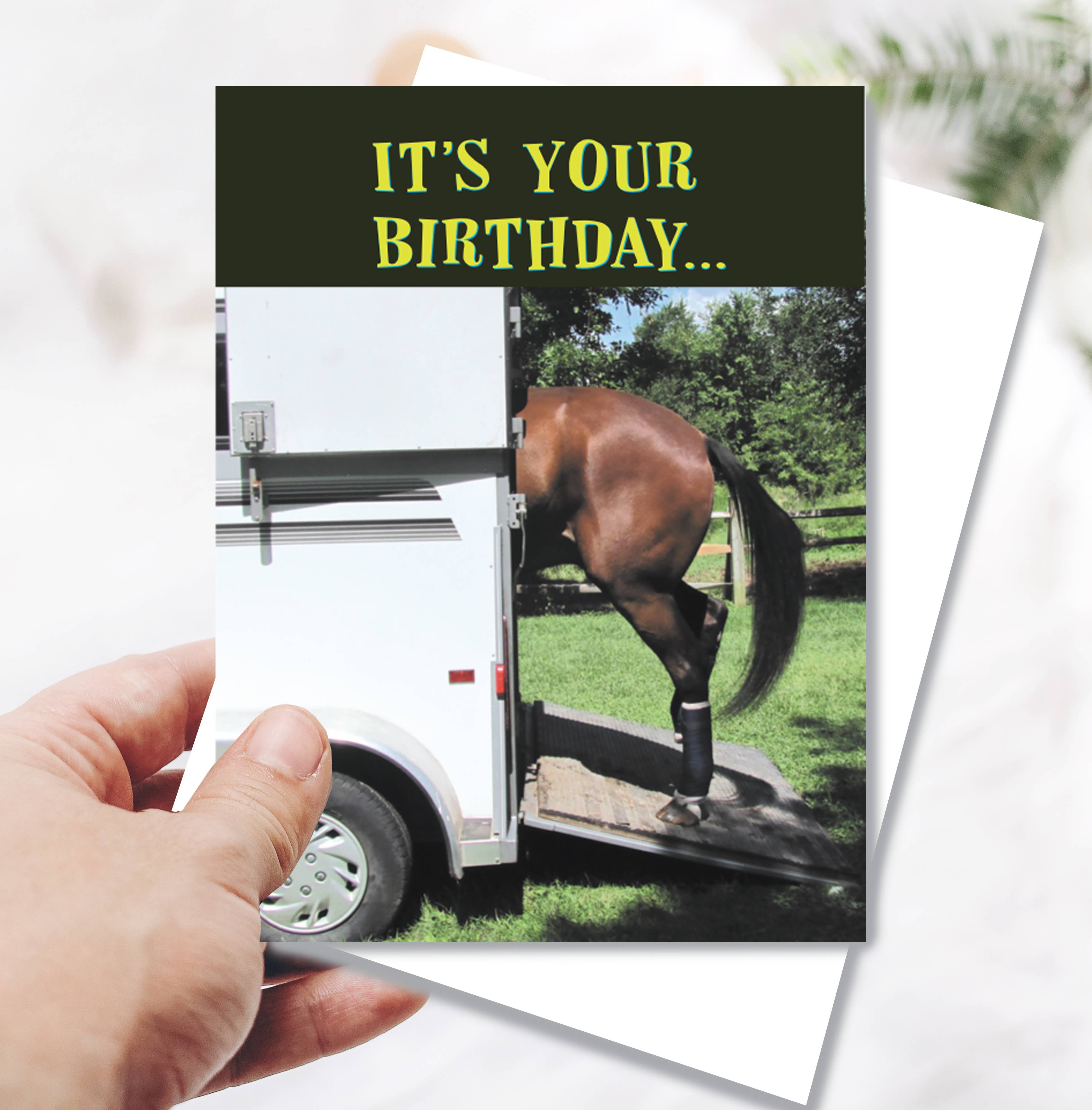 Horse Hollow Press - Wholesale Birthday Card - Horse Greeting Birthday Card / Get Loaded! / Funny1