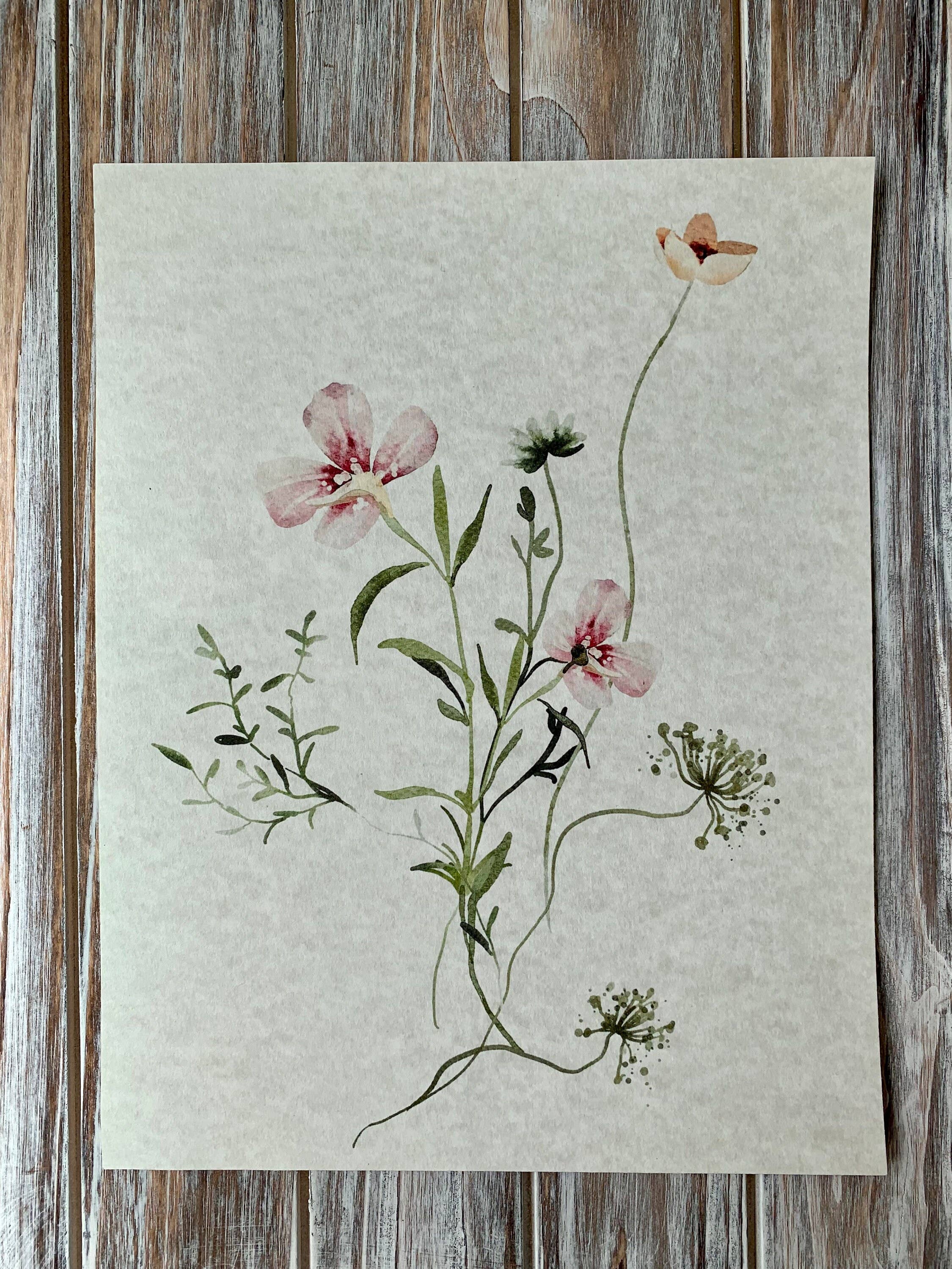 Magnifique Hearts - Wholesale Art Print - Set Of 3 Floral Art Prints, Delicate Botanical, Flowers, Pri1