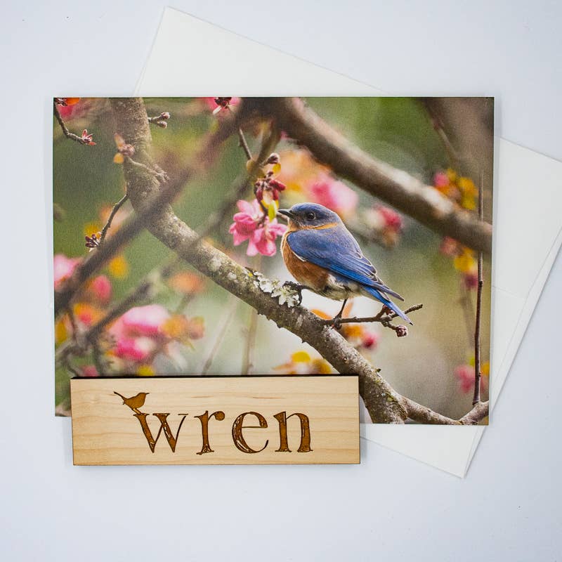 Wren - Wholesale Everyday Greeting Card - Bluebird and Dogwood Blossoms (Blank inside) Greeting Card4