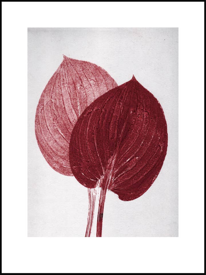 Hosta bordeauxrot 30x40 cm für den Großhandel von PERNILLE FOLCARELLI