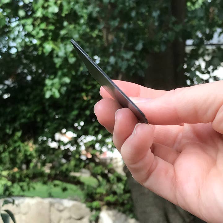 National Parks and Beyond - Wholesale Magnet - Denali National Park 2" Landscape Magnet2