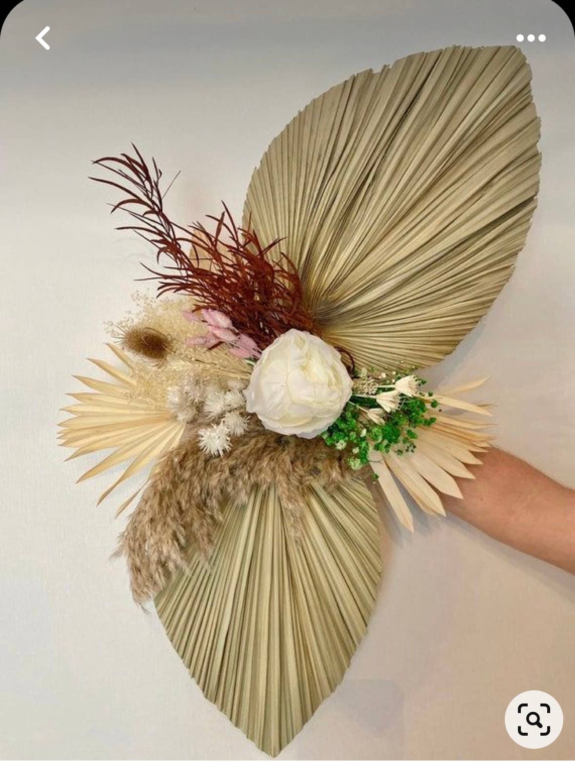 The Blooming Palm – wholesale Decal – Party decorations – Palm Leaves, Large Dried Trimmed Organic Tropical Dried Fan8