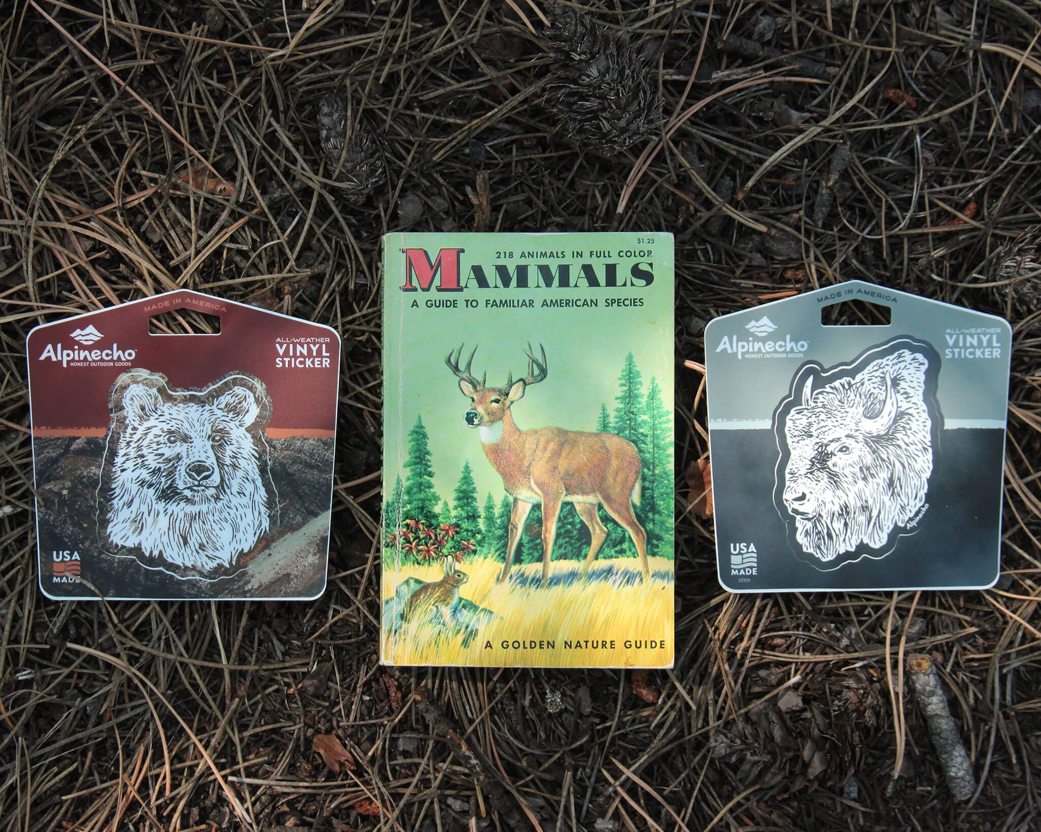 Alpinecho - Wholesale Sticker - Lake Days Sticker8