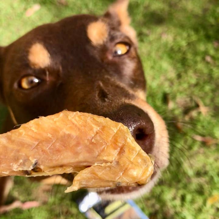 Rover Pet Products - Wholesale Pet treats – Dog - Flap Ya Wings - Chicken Wing Bites