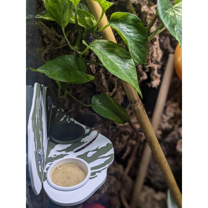 Jinx and Luna Exotics - Wholesale Pet Bowl - Cat/Dog - Monstera Albo Reptile Feeding Ledge