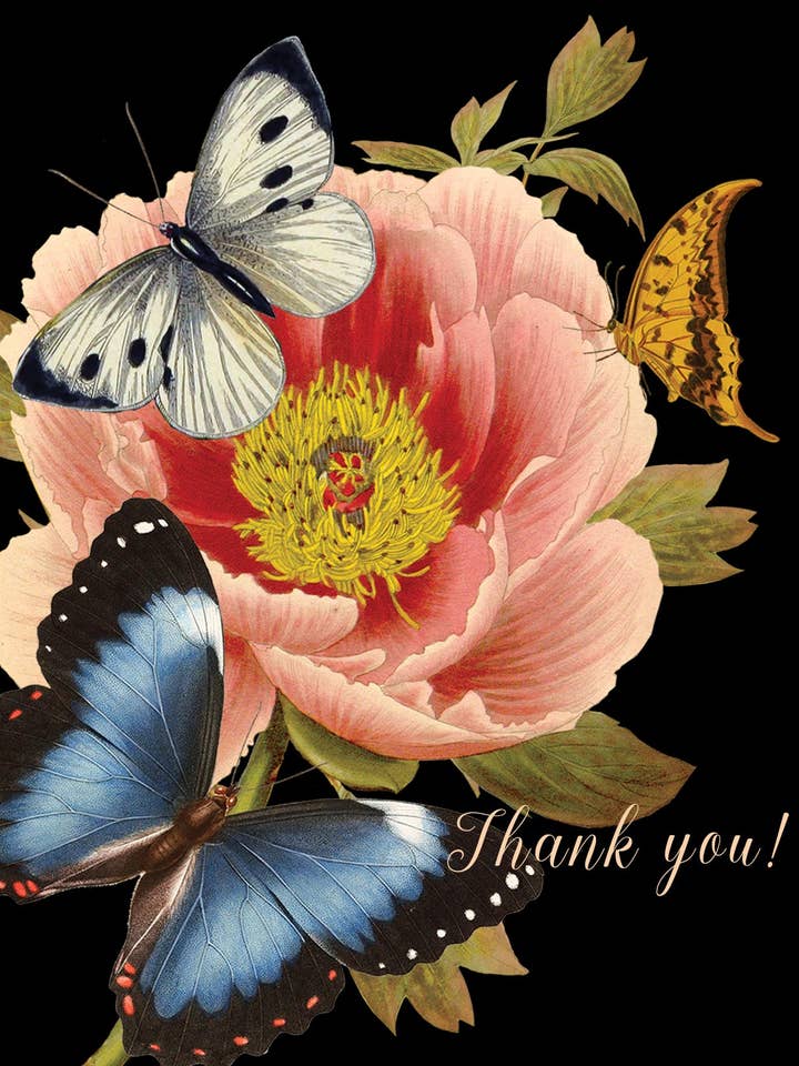 Thank you (blue butterfly) • A-2 Greeting Card for wholesale by P. Flynn Design / Phun House