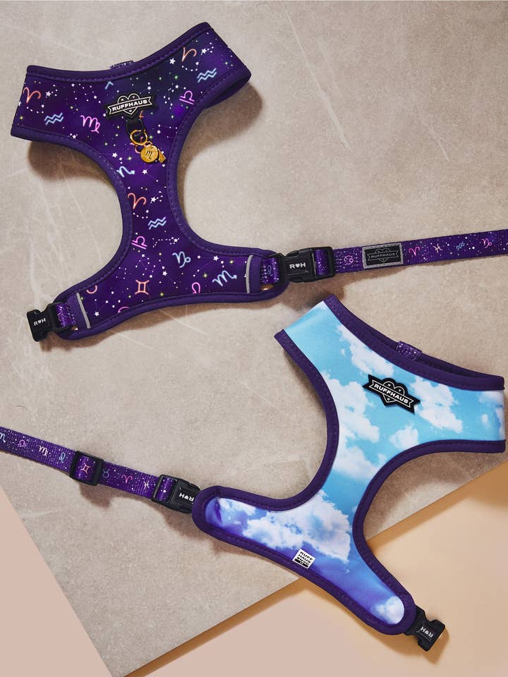Zodiac Drip Reversible Harness for wholesale by Ruffhaus NYC