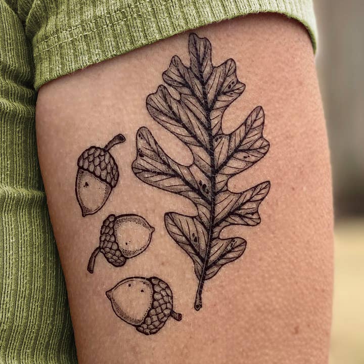 NatureTats - Wholesale Temporary Tattoo - Acorn and Oak Leaves Temporary Tattoo0