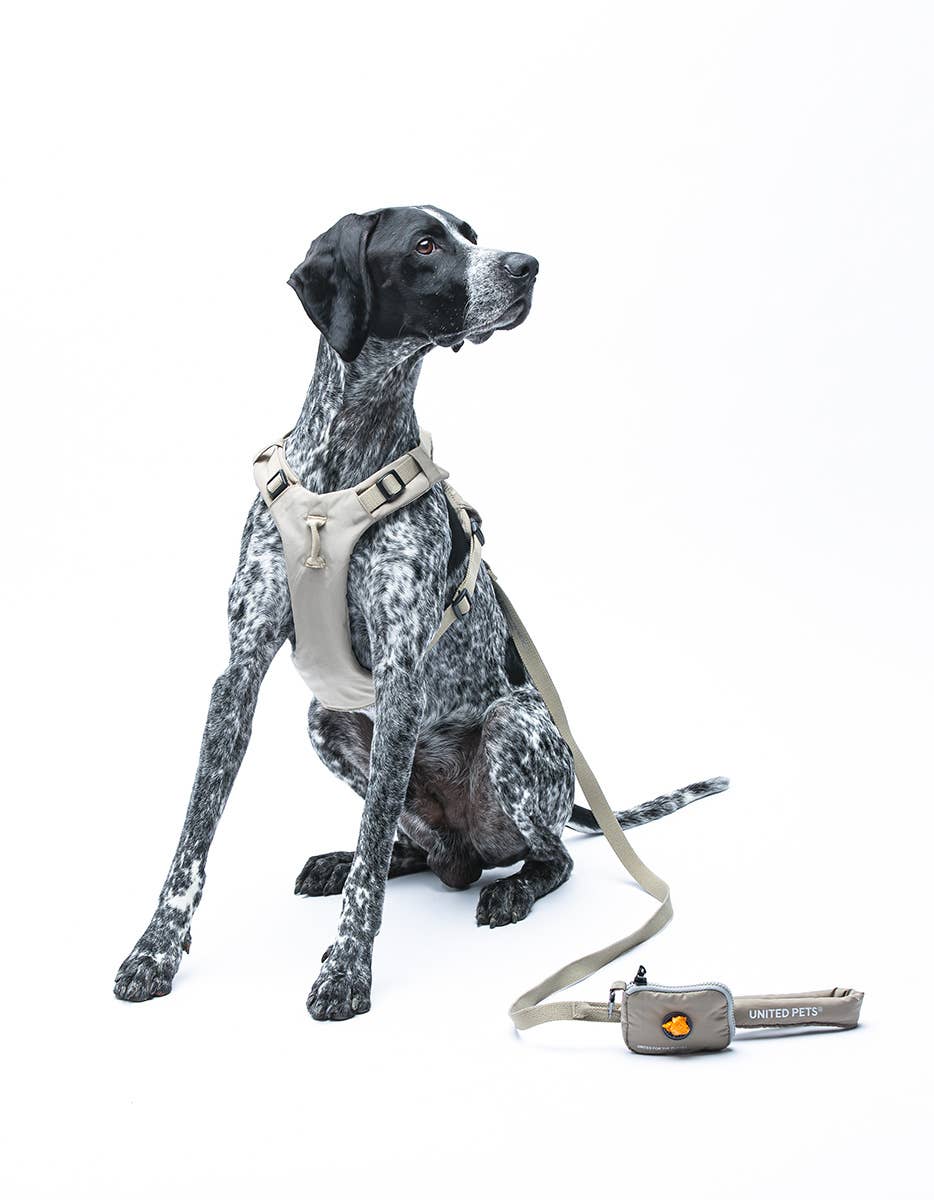 United Pets - Wholesale Hondenriem - Hond - Zachte hondenriem met gewatteerd handvat11