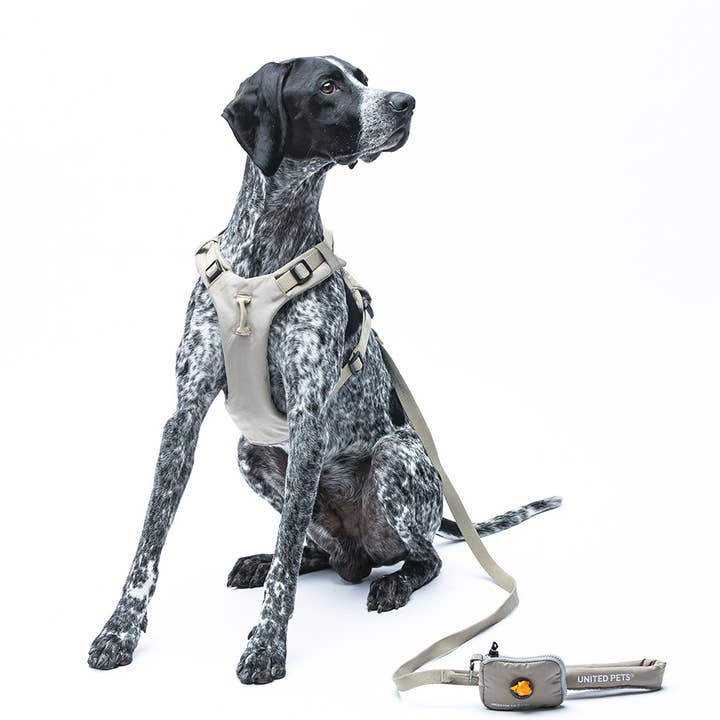 United Pets - Wholesale Pet Leash - Dog - Dog Padded Soft Leash11