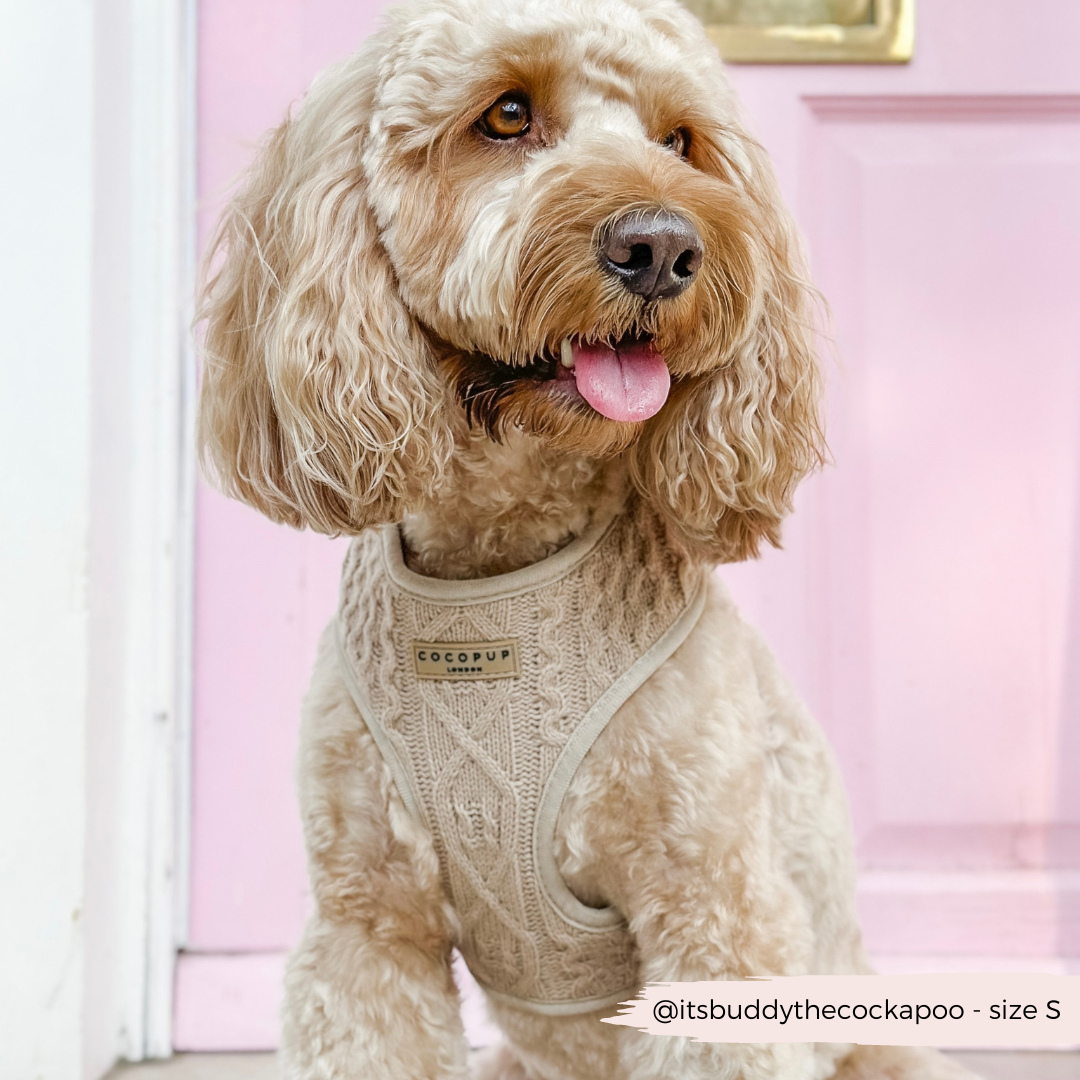 Cocopup London – wholesale Sele - Hund – Kabelstickad tröja Justerbar nacksele - Toffee Pup Latte4