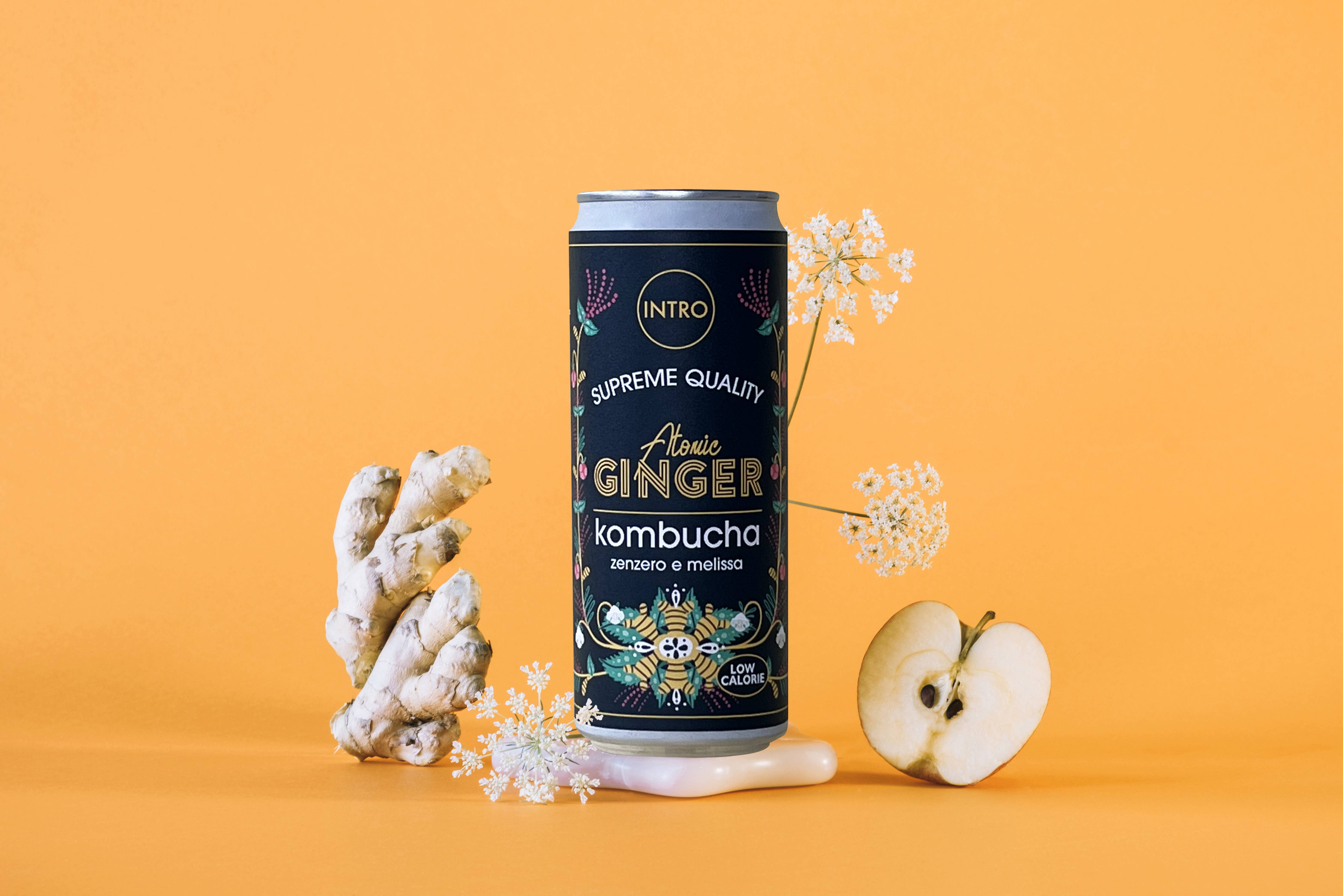 Intro Foods - Wholesale Kombucha - Atomic Ginger - Komucha in a Can