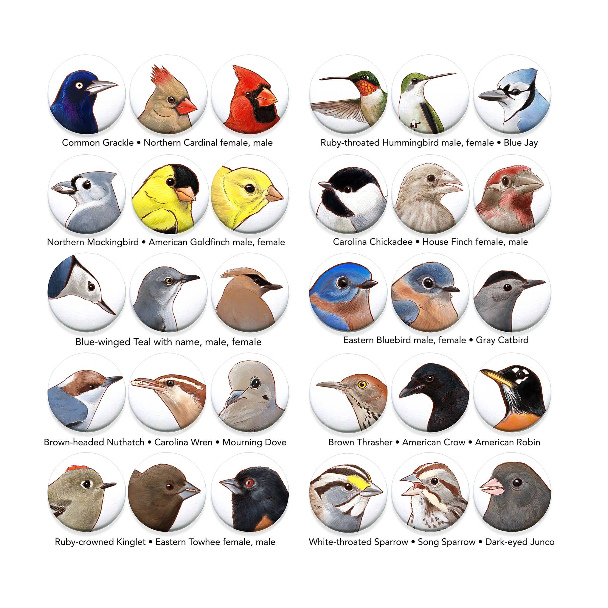 River Thrush Studio - Wholesale Lapel Pin/Button - Bird Portrait Pins 1.5 inches1