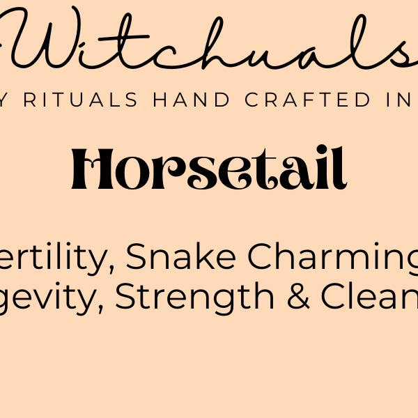 Horsetail for wholesale by Witchuals - Rituals & Spellwork Apothecary