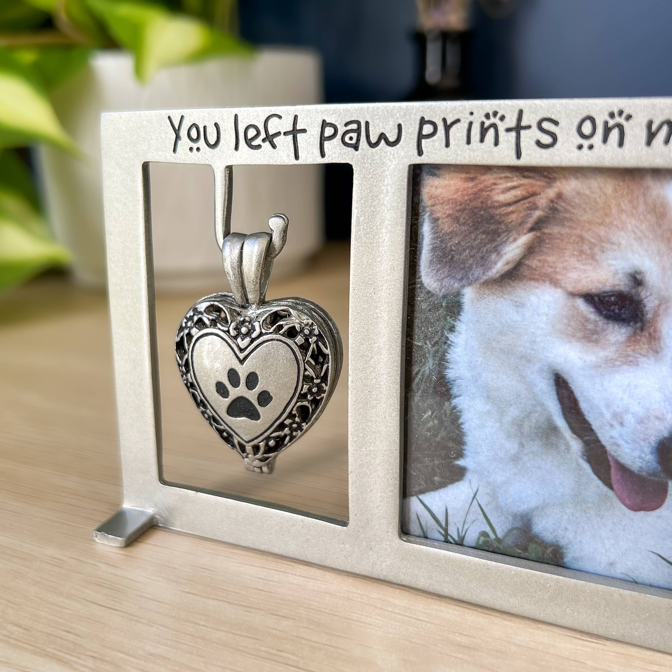 Abbey + CA Gift – Engroshandel Billedramme – Hjertehætteglas til kæledyrsminderamme1