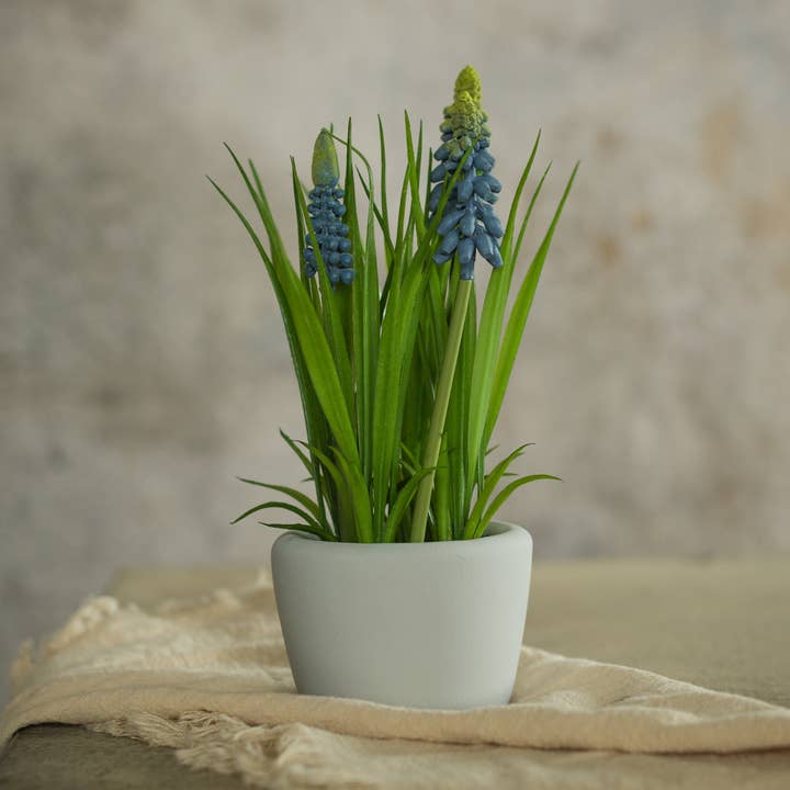 8" GETOPFTE BLAUE HYAZINTHE für den Großhandel von Ragon House