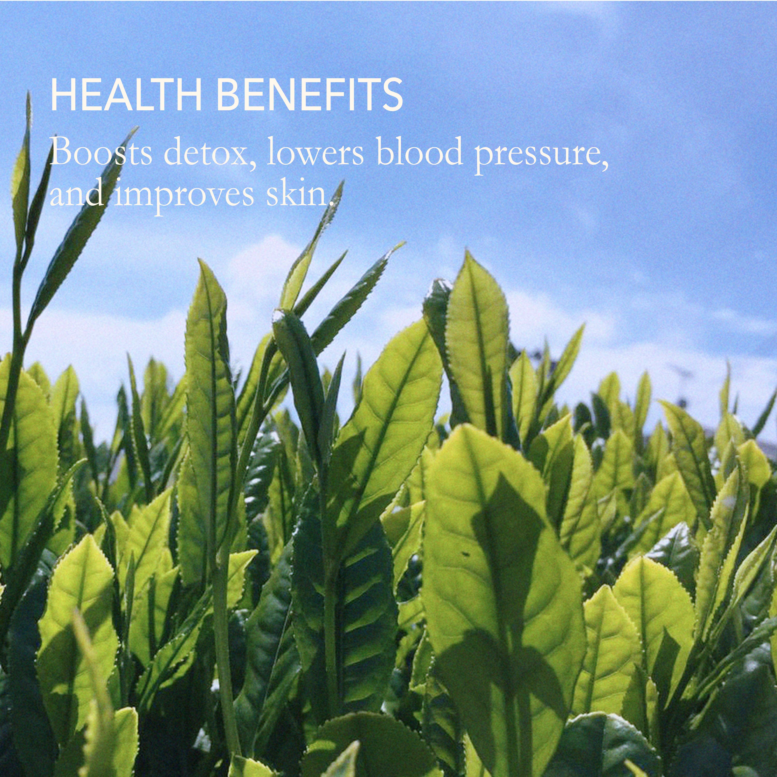 Japanese Green Tea Co. - Vente Sachets de thé - Benifuuki - Sachet de thé vert japonais anti-allergie (30 sachets)9